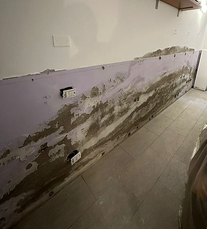 Immagine WhatsApp 2024-08-11 ore 15.33_edited.jpg