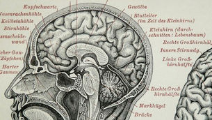How optical illusions may help diagnose autism