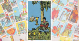 カップ（CUPS）04