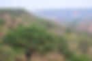 Caminhos do Cerrado • dia #1 • Rio Paranaíba • 42.JPG