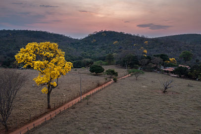 15092021-DJI_0031-2.jpg