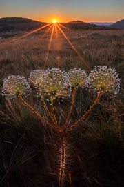 28042020-365A0170-HDR.jpg