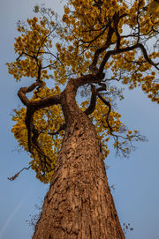 15092021-_6C_7316.jpg