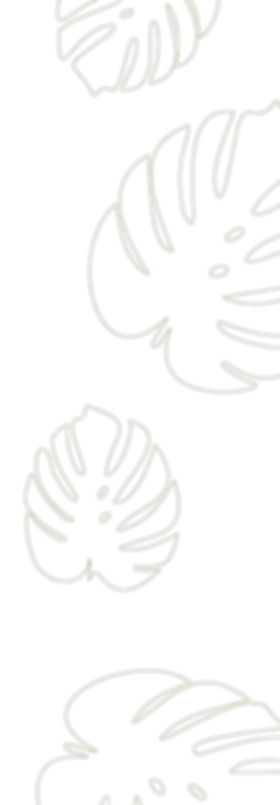 bg folhas amarelo direita.png