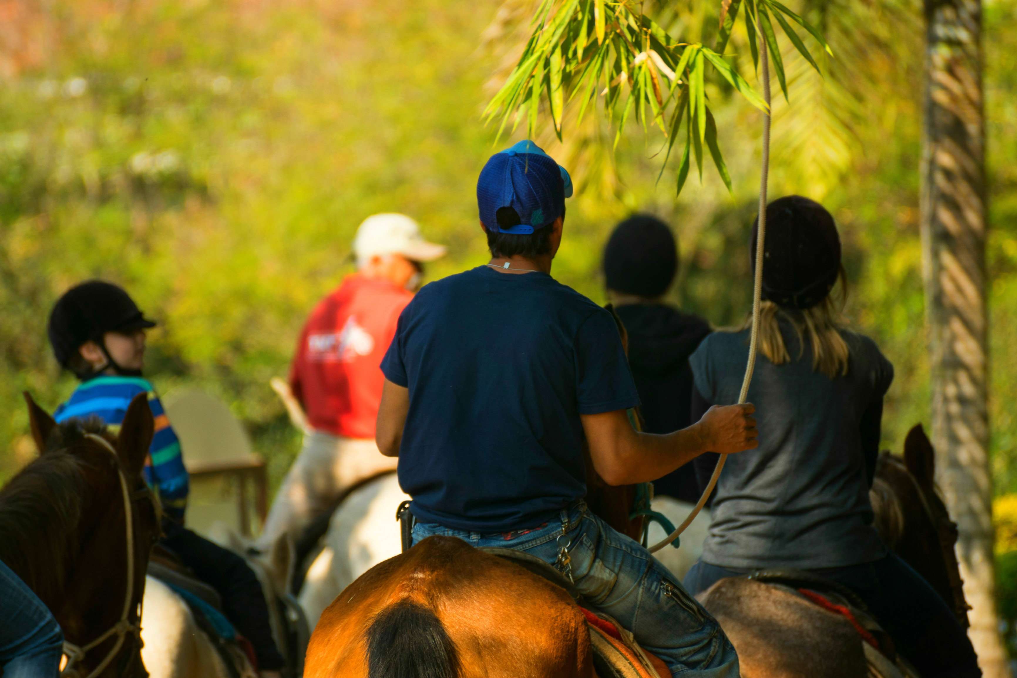 Hotel Fazenda Capoava - Itu