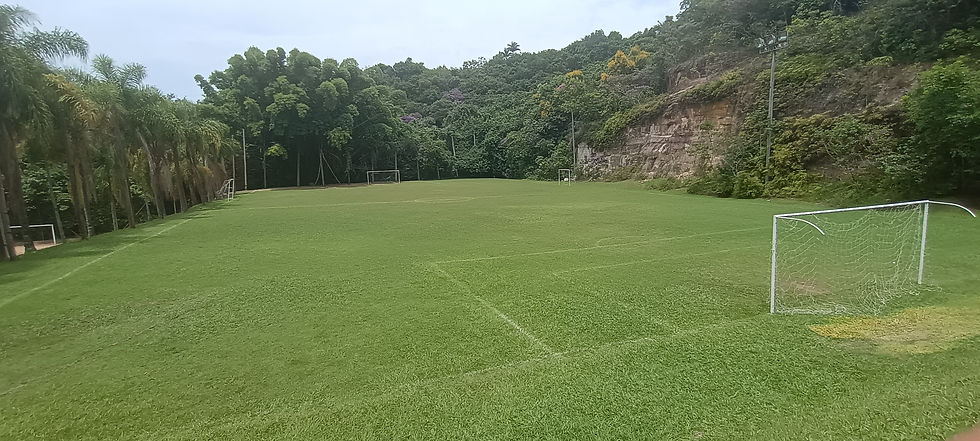 Campo de futebol