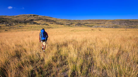 Paseo - Fotos Tom Alves - Circuito Image Bank (3).jpg