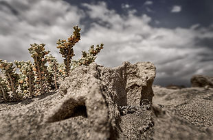 _S7R9065-DxO_DeepPRIME_bea_Sandvulkane1_60x40cm_72dpi_sRGB_edited.jpg