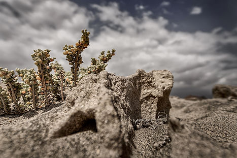 _S7R9065-DxO_DeepPRIME_bea_Sandvulkane1_60x40cm_72dpi_sRGB_edited.jpg