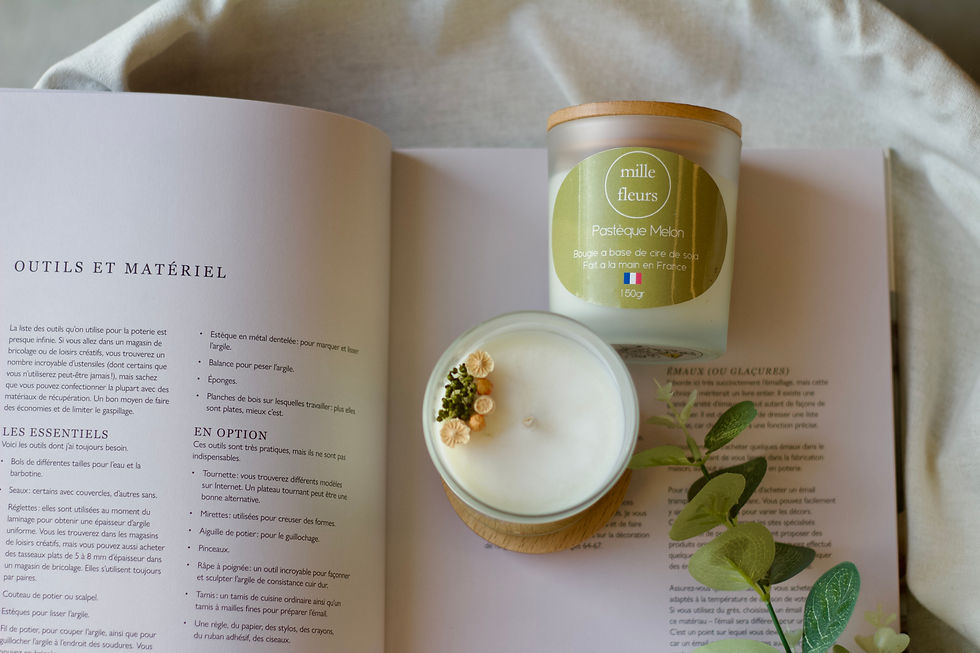 Miniature : bougie végétale pastèque melon 150gr, contenant verre, photo ambiance sur un livre feuille eucalyptus