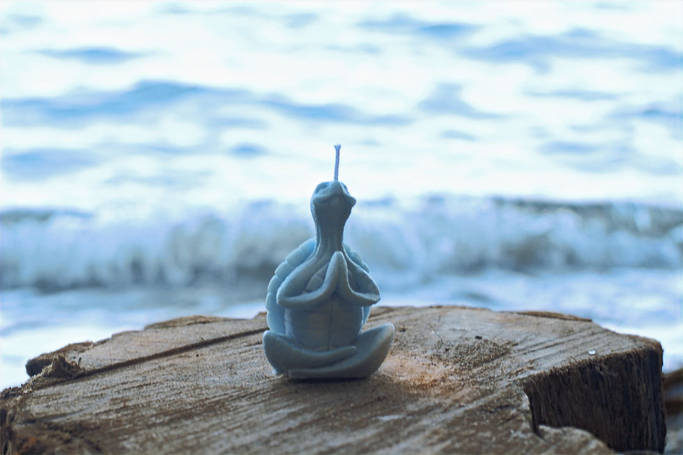 Miniature : Bougie tortue bleu ciel – Bougie décorative zen non parfumée – Mille Fleurs