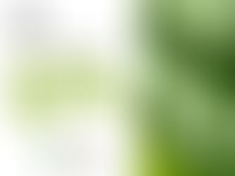 Un espacio para la transparencia y la participación