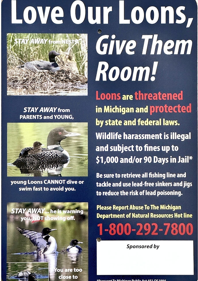 Protect Our Loons_edited.jpg