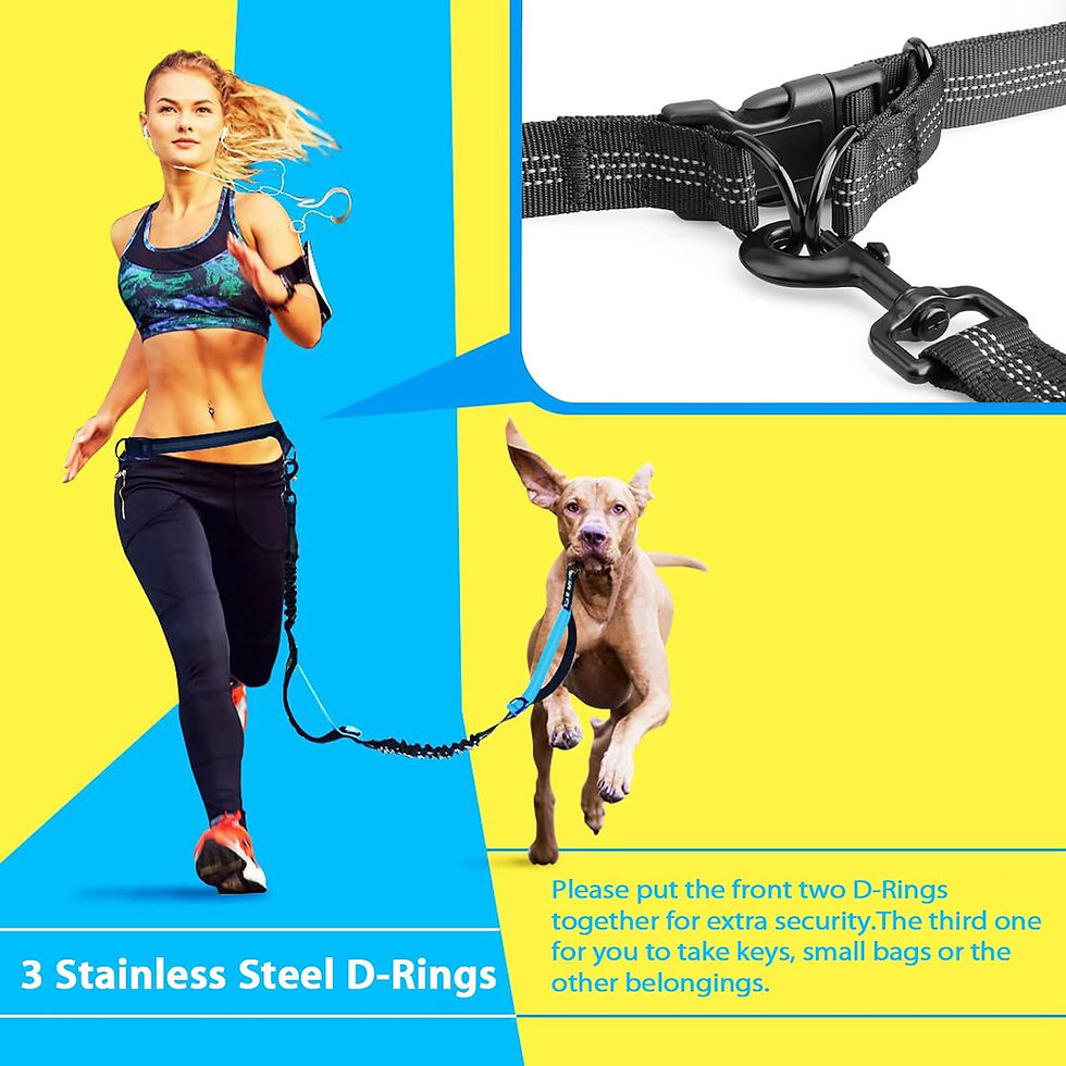 Thumbnail: Hands Free Waist Belt and Dog Leash