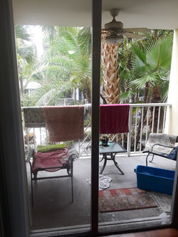 window cleaning glass doors