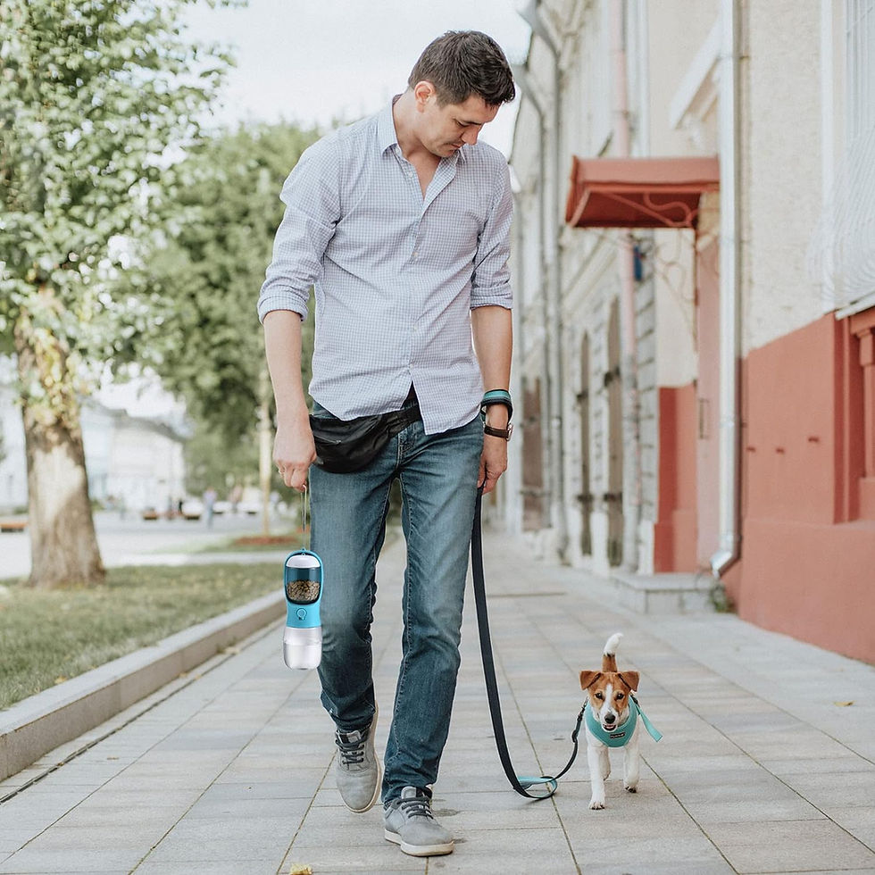 Thumbnail: Travel Pet Water Bottle and Food Container great for traveling probably 