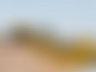 Máquinas para canais GOMACO