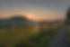 Morgenstimmung am Wilzenberg.jpg