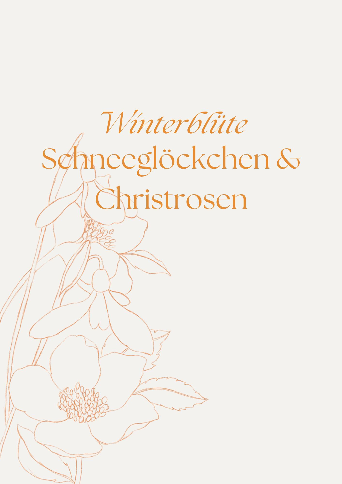 Stream Winterblüten Traum