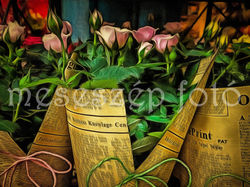 DSCF0772_DAP_Golden Age-2