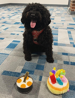 3FDBBDEB-58B3-4DB9-A5F5-B1EE57D992DF 2.JPG