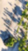 dji_fly_20250506_144512_0170_1754144432793_photo_edited.jpg