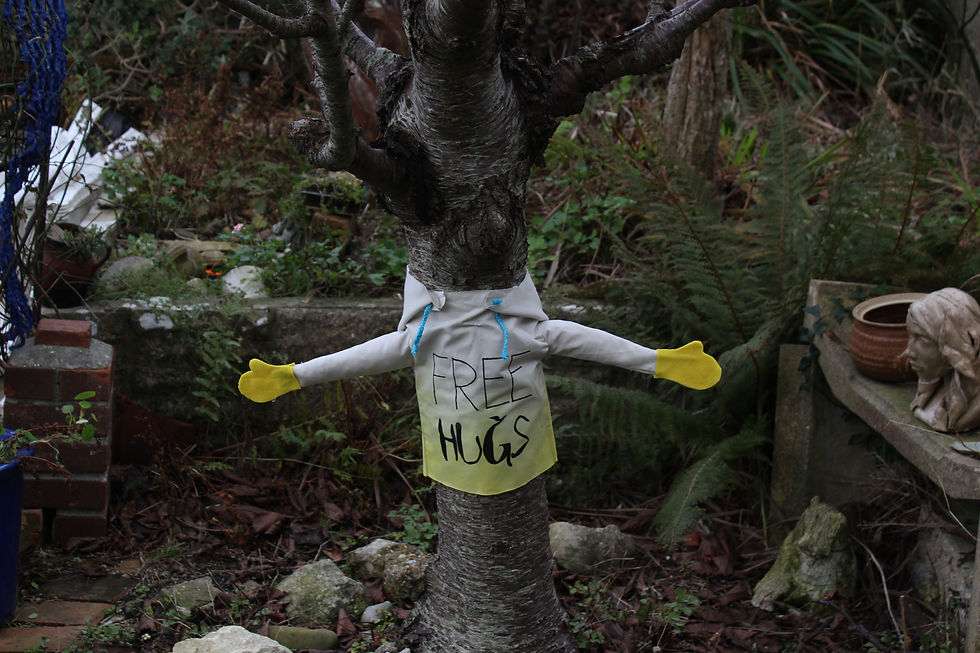 Tree Hugger Prototype