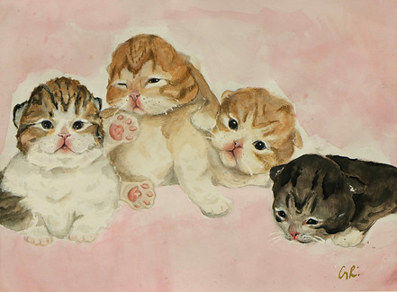 Kittens_edited.jpg