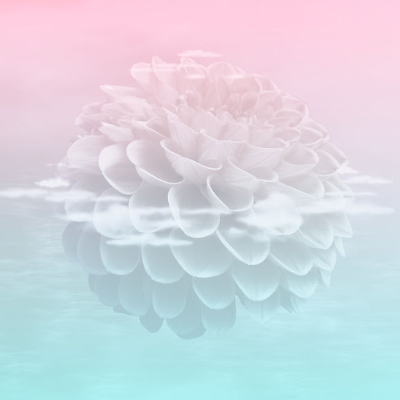 Decorative background image used for visual design