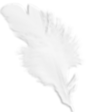 pngguru.com (74).png