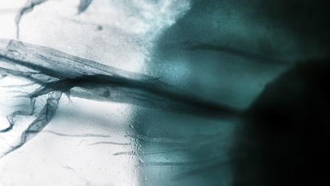 Honorable Mention in 12th Annual Julia Margaret Cameron Award in Barcelona