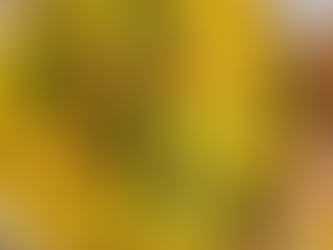 Indian Street Food Rice with Fennel Zest Yoghurt