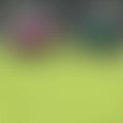 Banaue, Philippines (Week 2)