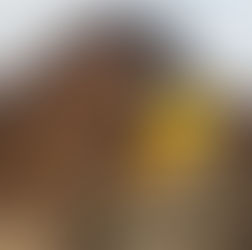 What we learned along the way...