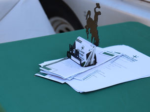 Bullfrog makes organization easy