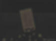 Seeds_02.jpg