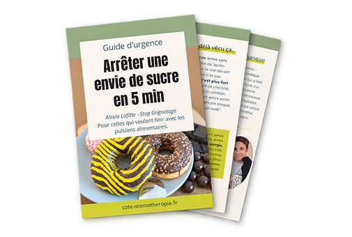 guide gratuit couverture.png