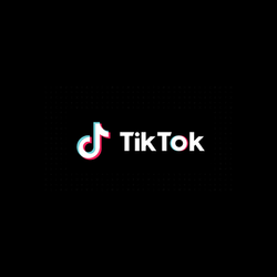 pulse-grey-tiktok-sosyal-medya-yonetimi