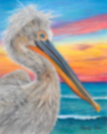 Pelican