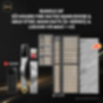 Mild Steel Main Gate (S-series) + Laminate Main Door + Lockin V5 Max + V3