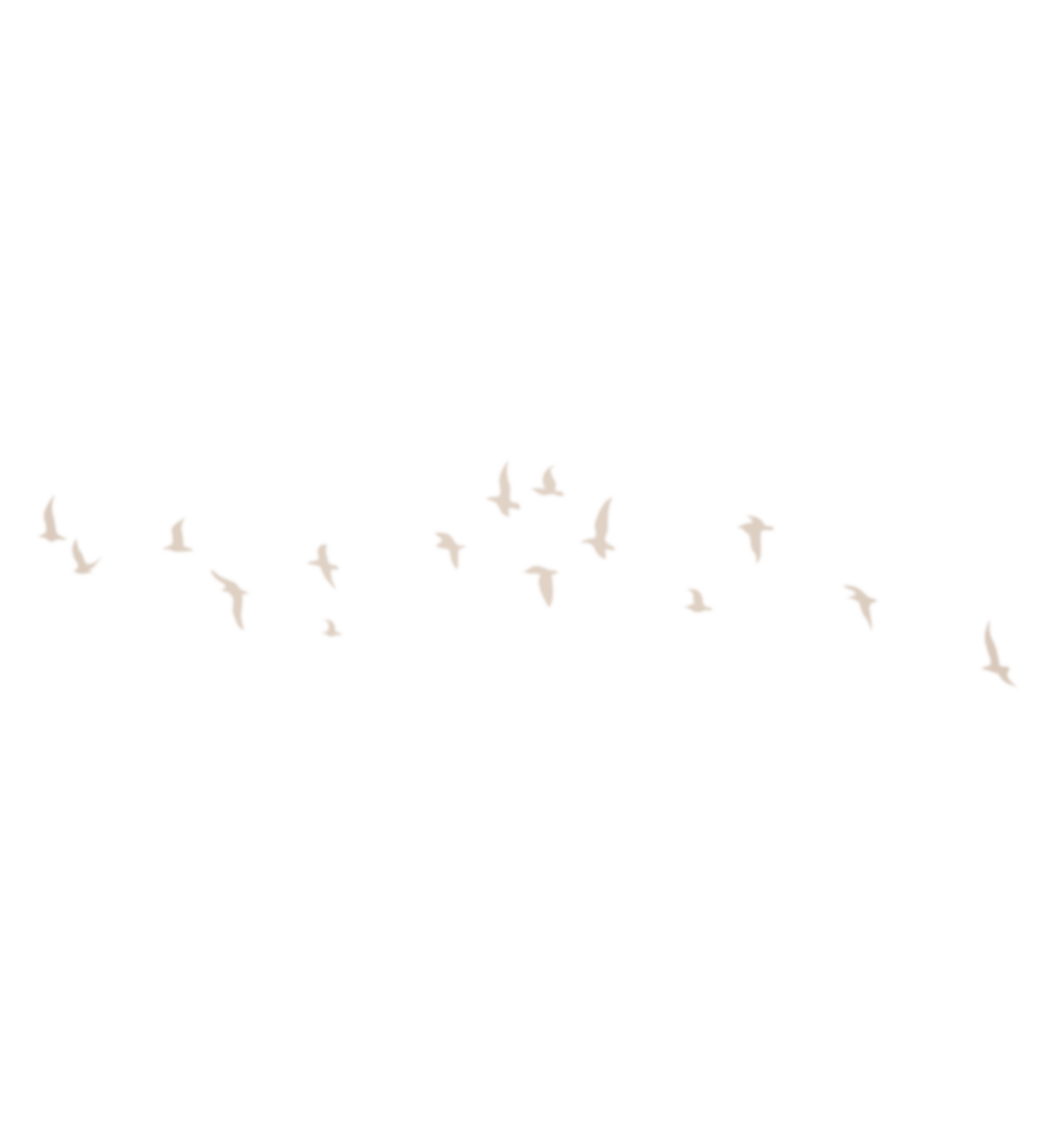 BRID.png