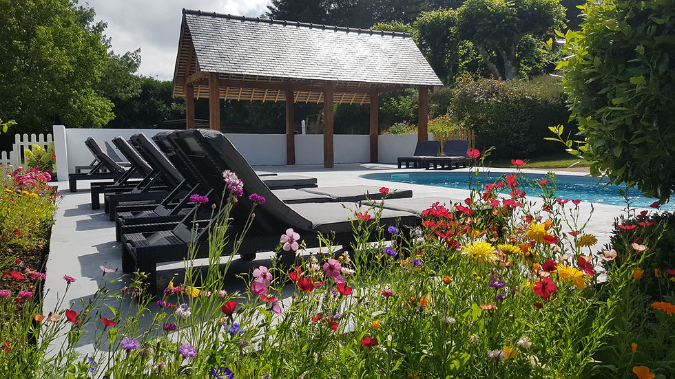 The pool area