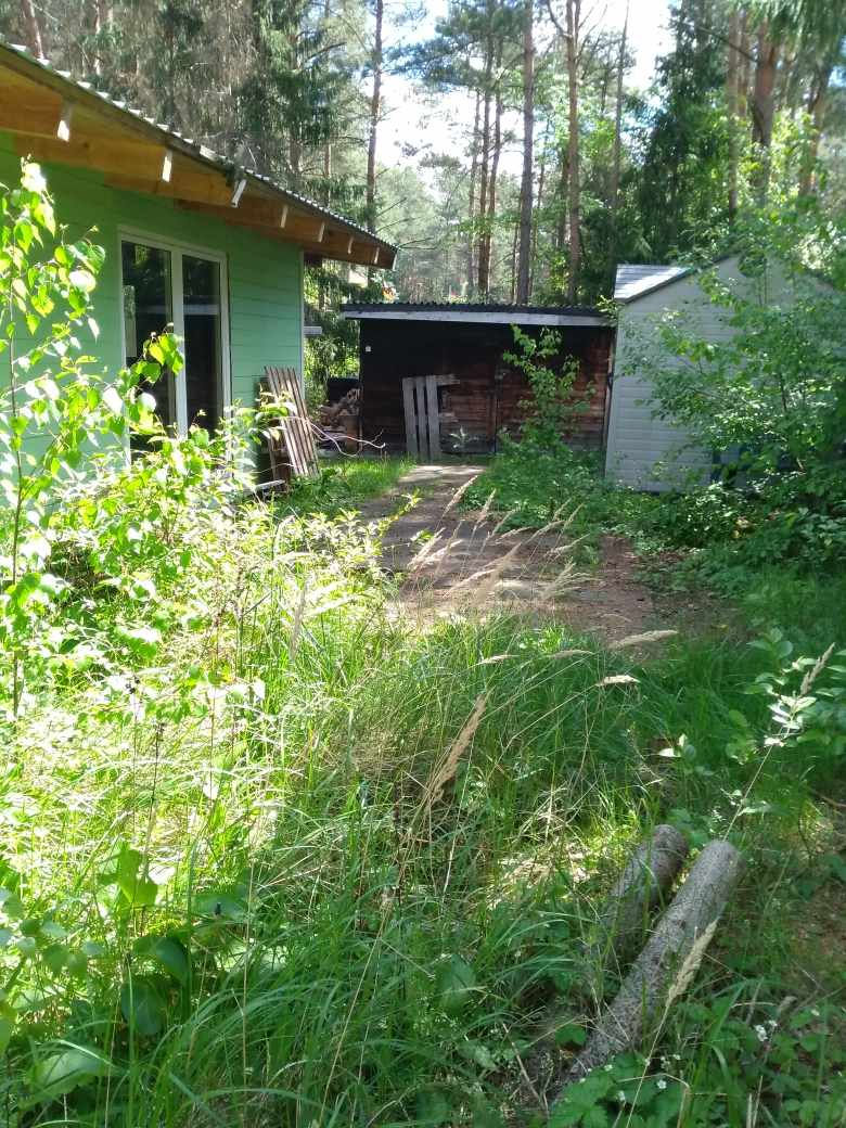 Haus (14)