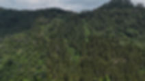 fotolote_edited.jpg