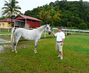 Malaysia 09 481.JPG