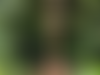 Portland Grotto is a beloved shrine, a place of peace, prayer, beauty