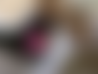 Hummingbird hurrah! Let's hear it for this tiny, tenacious bird