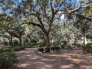 Savannah's wonders: stately buildings, lovely parks, lively River Street, theater, boats, cafes and trolleys all invite inspection