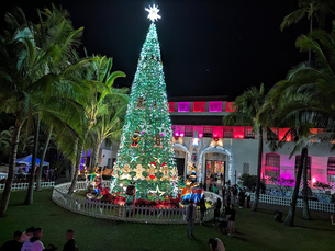 Lights up on Honolulu's trolley and best holiday lights in the country