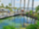 Paradise Point Resort San Diego: A Must-Visit Mission Bay Escape with Sailing, Waterfront Fun & Sunset Views
